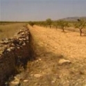 Pinoso property: Land for sale in Pinoso 41880