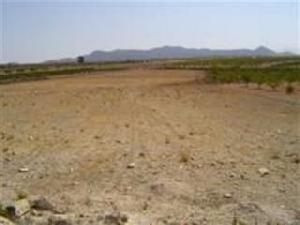 Pinoso property: Land for sale in Pinoso, Spain 41881