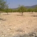 Pinoso property: Alicante, Spain Land 41882