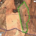 Jumilla property: Land for sale in Jumilla 41890