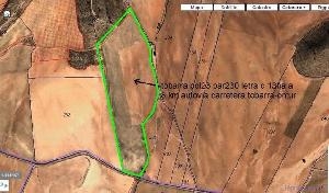 Jumilla&nbsp;property:&nbsp;Land&nbsp;for&nbsp;sale&nbsp;in&nbsp;Jumilla&nbsp;41890