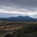 Torre Del Rico property: Beautiful House for sale in Murcia 41894