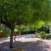 Aspe property: 3 bedroom Villa in Aspe, Spain 41898