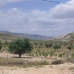 Torre Del Rico property: Beautiful Villa for sale in Torre Del Rico 41899