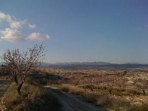 Jumilla property: Land for sale in Jumilla, Murcia 41910