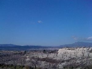 Jumilla property: Jumilla, Spain | Land for sale 41910