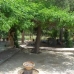 La Romana property: Beautiful House for sale in La Romana 41928