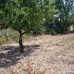 Pinoso property: Pinoso, Spain Townhome 41934