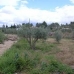 La Romana property: Beautiful House for sale in Alicante 41940
