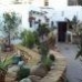 Pinoso property: Alicante, Spain House 41948