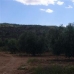 Pinoso property: Beautiful Land for sale in Alicante 41972