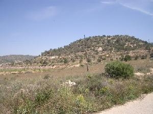 La Romana property: Land for sale in La Romana, Alicante 42013