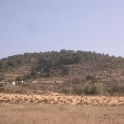 Pinoso property: Land for sale in Pinoso 42024