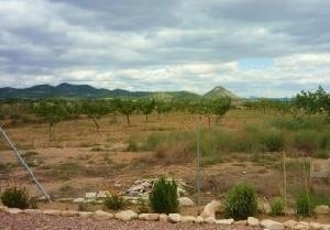 Pinoso property: Villa for sale in Pinoso 42049
