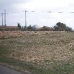 Pinoso property: Alicante, Spain Land 42051