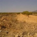 Pinoso property: Land for sale in Pinoso 42065