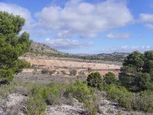 Yecla&nbsp;property:&nbsp;Land&nbsp;for&nbsp;sale&nbsp;in&nbsp;Yecla&nbsp;42122