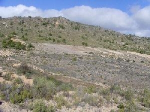 Yecla&nbsp;property:&nbsp;Land&nbsp;in&nbsp;Murcia&nbsp;for&nbsp;sale&nbsp;42122