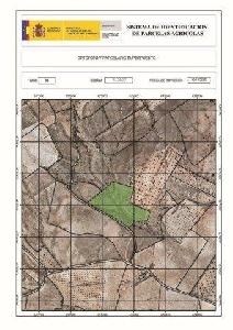 Yecla&nbsp;property:&nbsp;Land&nbsp;for&nbsp;sale&nbsp;in&nbsp;Yecla&nbsp;42125
