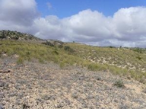 Yecla&nbsp;property:&nbsp;Land&nbsp;for&nbsp;sale&nbsp;in&nbsp;Yecla,&nbsp;Spain&nbsp;42125