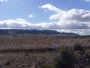 Yecla&nbsp;property:&nbsp;Land&nbsp;in&nbsp;Murcia&nbsp;for&nbsp;sale&nbsp;42125