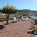 Pinoso property: Pinoso, Spain House 42133
