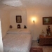 Pinoso property: Pinoso Cave House, Spain 42149