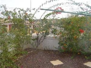 Bigastro&nbsp;property:&nbsp;Bigastro&nbsp;Villa&nbsp;42172