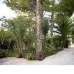 Novelda property: 4 bedroom Villa in Novelda, Spain 42177