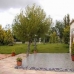 Fuente Alamo de Murcia property: 6 bedroom Villa in Fuente Alamo de Murcia, Spain 42181