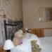 Hondon de las Nieves property: 4 bedroom Villa in Alicante 42186