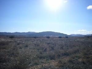 Pinoso&nbsp;property:&nbsp;Villa&nbsp;for&nbsp;sale&nbsp;in&nbsp;Pinoso&nbsp;42195