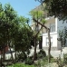 Hondon de las Nieves property: Apartment for sale in Hondon de las Nieves 42222
