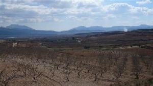 Pinoso property: Alicante property | bedroom Land 42236