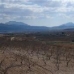 Pinoso property: Pinoso Land, Spain 42236