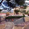 Albatera property: Villa for sale in Albatera 42253