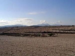 Pinoso property: Land in Alicante for sale 42259