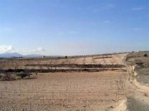 Pinoso property: Pinoso Land 42259