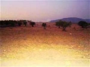 Pinoso property: Land for sale in Pinoso, Spain 42286