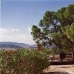 Jumilla property: 6 bedroom House in Jumilla, Spain 42287
