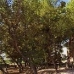 Jumilla property: Murcia House, Spain 42287