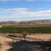 Jumilla property: Beautiful House for sale in Jumilla 42287