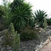 Aspe property: 3 bedroom Villa in Aspe, Spain 42292