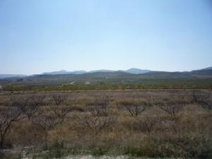 Pinoso&nbsp;property:&nbsp;Pinoso,&nbsp;Spain&nbsp;|&nbsp;Villa&nbsp;for&nbsp;sale&nbsp;42309