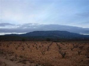 Pinoso property: Land in Alicante for sale 42334