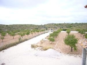 Pinoso&nbsp;property:&nbsp;Villa&nbsp;for&nbsp;sale&nbsp;in&nbsp;Pinoso,&nbsp;Alicante&nbsp;42347