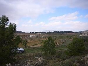 Pinoso&nbsp;property:&nbsp;Land&nbsp;for&nbsp;sale&nbsp;in&nbsp;Pinoso&nbsp;42358