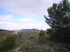 Pinoso&nbsp;property:&nbsp;Land&nbsp;with&nbsp;bedroom&nbsp;in&nbsp;Pinoso&nbsp;42358