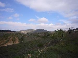 Pinoso&nbsp;property:&nbsp;Land&nbsp;in&nbsp;Alicante&nbsp;for&nbsp;sale&nbsp;42358