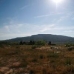 Pinoso property: Pinoso, Spain House 42372